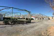 Camping Los Naranjos景点图片