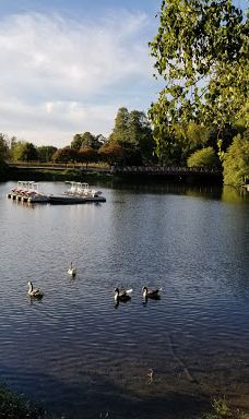 Waverly Park Parking-奥尔巴尼