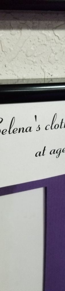 Selena Museum-科珀斯克里斯蒂