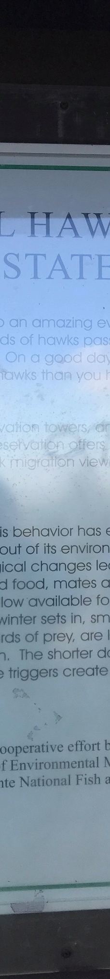 Mount Tom State Reservation-霍利奥克