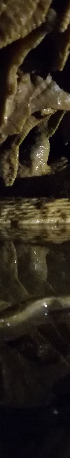 Grotte des Canalettes-科尔内拉德孔夫朗