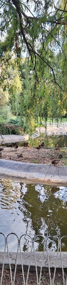 Danube Park-诺维萨德