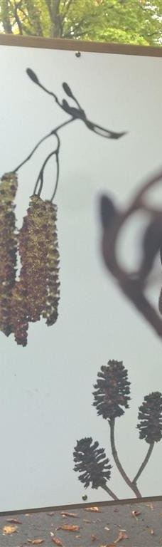 Parc de Champagne-兰斯