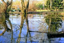 Cobtree Manor Park景点图片