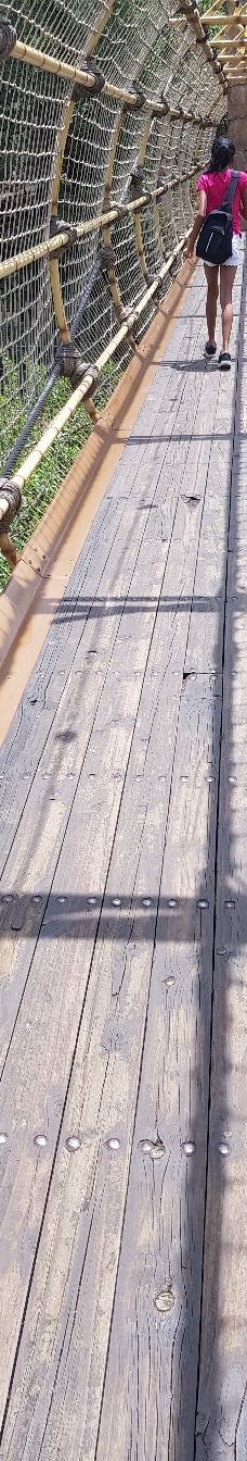 The Maze of the Lost City-太阳城