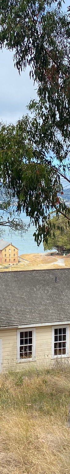 安琪儿岛-蒂伯龙