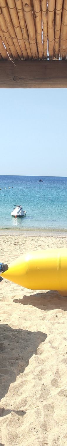 Elia海滩-米科诺斯