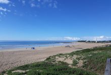 Dolphin Beach景点图片