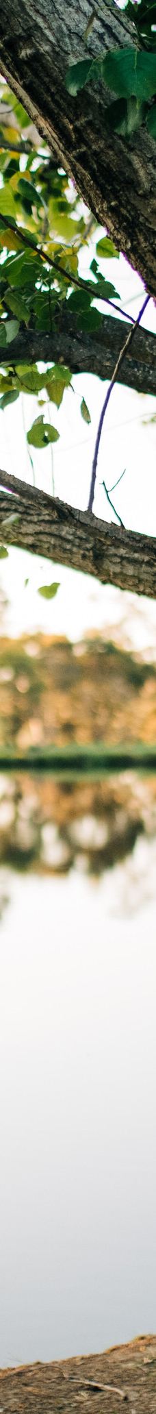 Mortimers Wines-奥兰治