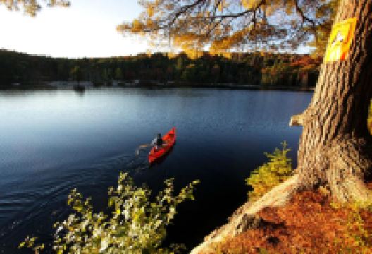 Algonquin Outfitters购物图片