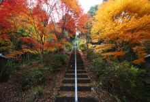Tatsuiwa Shrine景点图片