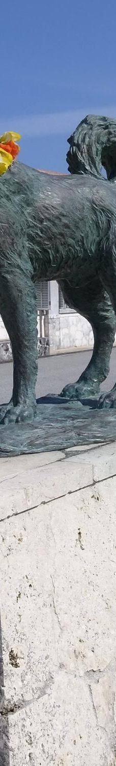 忠实的狗白 哀悼纪念碑-座间味村