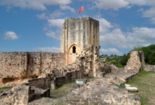 Chateau de Carlux景点图片