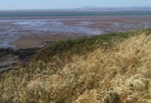 Heysham Nature Reserve景点图片
