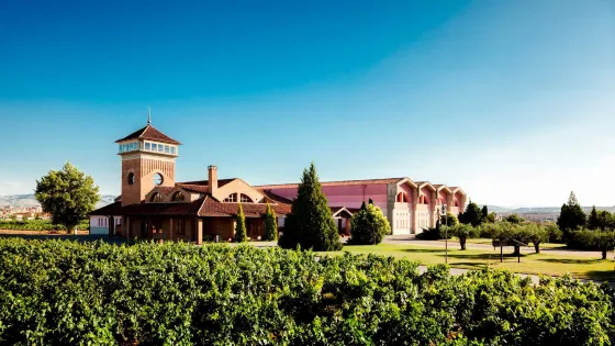 Bodegas Vina Ijalba S.A.