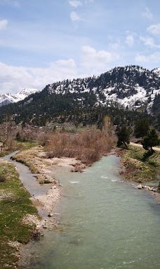 Savrun Stream-卡迪尔利