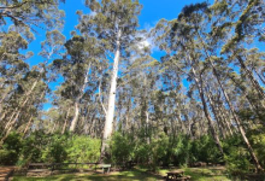 Boorara - Gardner National Park景点图片