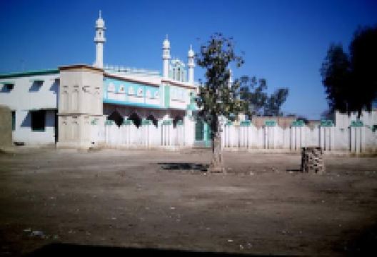 Masjid E Shadi Khel Amakhel景点图片