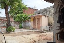 Kali mata temple景点图片