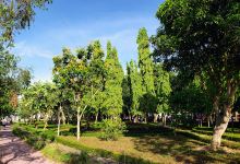 Công viên Nguyễn Tất Thành.景点图片