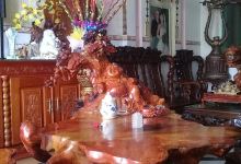 Chùa Long Trường景点图片