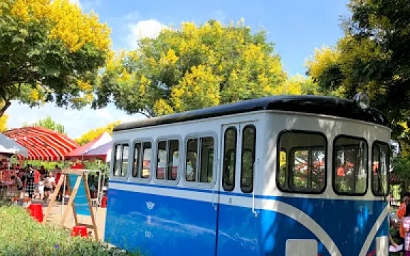 台灣欒樹綠色隧道