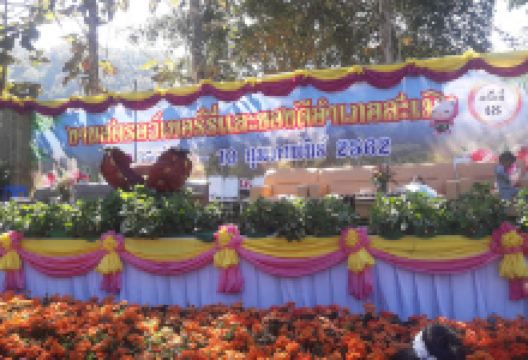 Sun Suep San Watthanatham Thongthin Samoeng Rongrian Samoeng Phitthayakhom景点图片