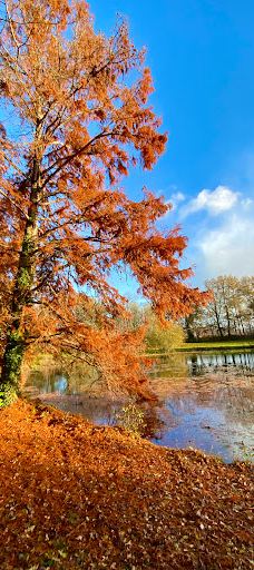 Parc des Gayeulles-雷恩