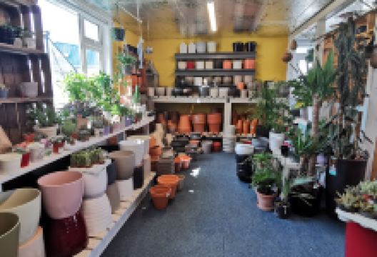 Vaughans Garden Centre购物图片