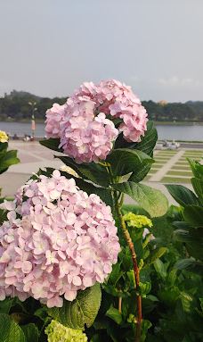 Lam Vien Square-大叻