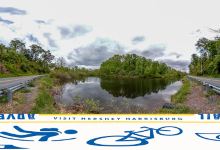 Stoney Creek Fishing Section 1景点图片