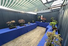 Bud Garden Centre景点图片