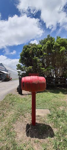 Ricardoes Tomatoes-Blackmans Point