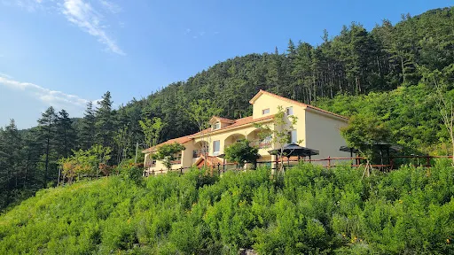 俗離山馬踢嶺自然休養林