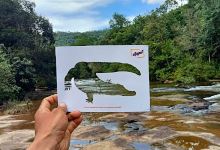 ទឹក​ធ្លាក់​ឆាយ​យោង​ (Chhay Young Waterfall)景点图片