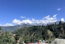 Organic Himalaya Village Dugalbitta景点图片