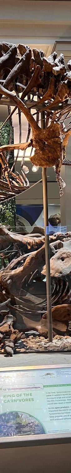 史密森博物馆-华盛顿-DCA