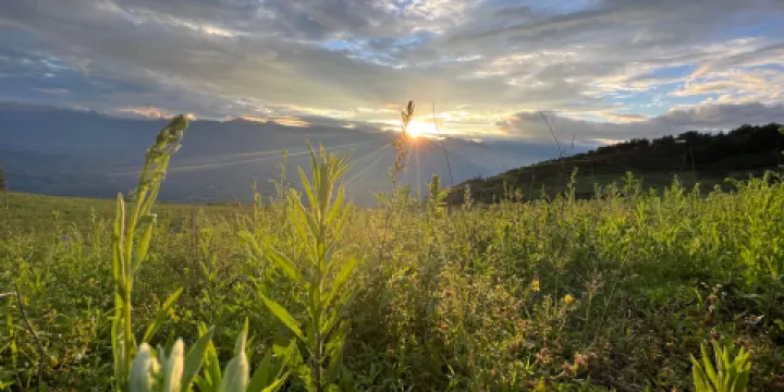 飛天波使（菲鐵博史）民俗演藝場