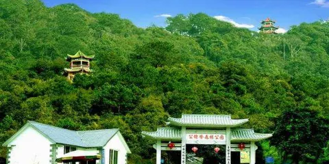 公豬脊森林公園