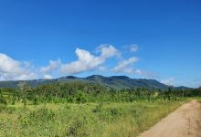 Jaxut camping area, Cathu State Forest景点图片