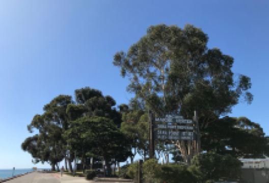 Doheny State Beach景点图片