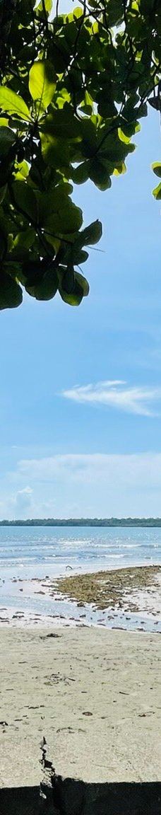 卡维塔国家公园-Talamanca