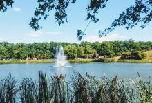 Laurel Acres Park景点图片