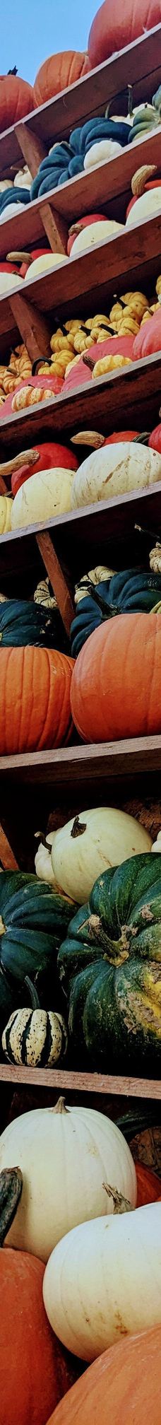 Oskarshausen-Sachsische Schweiz-Osterzgebirge