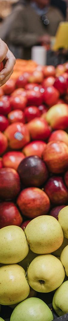 阿德莱德中央市场-阿德莱德