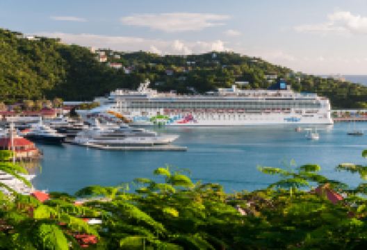 West Indian Company Dock景点图片