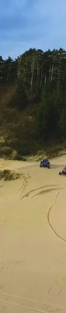 Sandland Adventures Inc-雷恩县