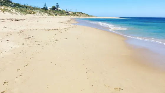 Halls Head Beach