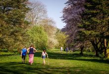 Yorkshire Arboretum景点图片