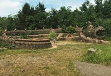 Festival Park Owl Sanctuary景点图片